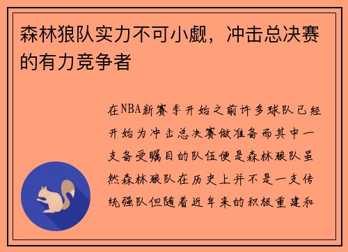 森林狼队实力不可小觑，冲击总决赛的有力竞争者